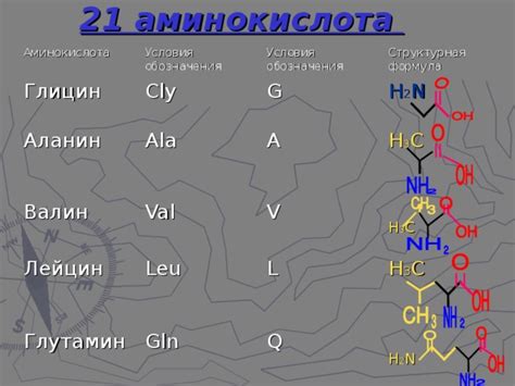 Аминокислоты