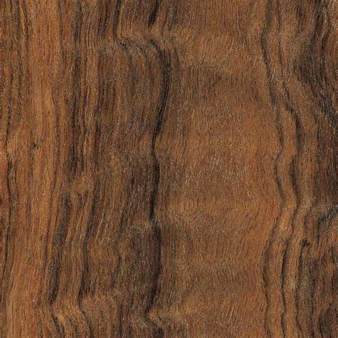 Indian Laurel | fineboxmaker