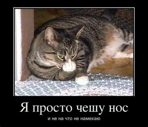 Демотиваторы - Постик 02-12-2011