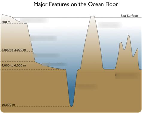 sea floor diagram diagram quizlet