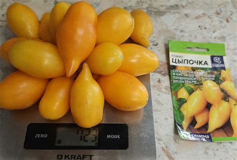 Томат Цыпочка: описание и характеристика сорта, отзывы, фото | Цветок в ...