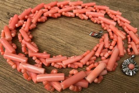 coral net worth