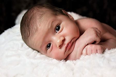 royalty  photo baby  white top pickpik