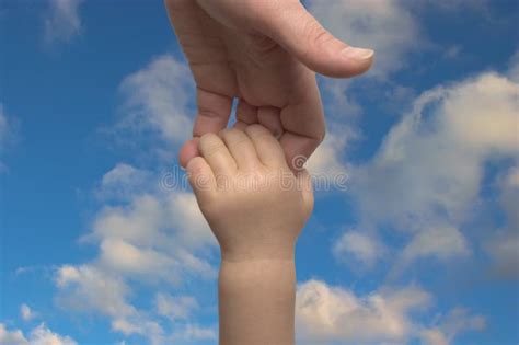 Mother s and baby s hands stock photo. Image of isolated - 8334200