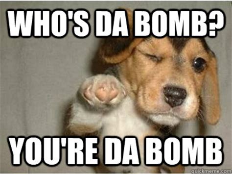 winking dog da bomb memes | quickmeme