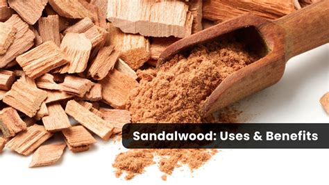 Sandalwood: The Ultimate Guide To Its Uses And Benefits - Moggs Estates