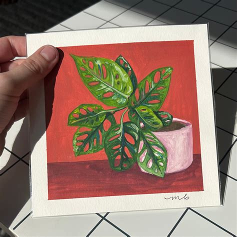From the Archives Sale / Plant Portrait / Adansonii – Morgan Elaine