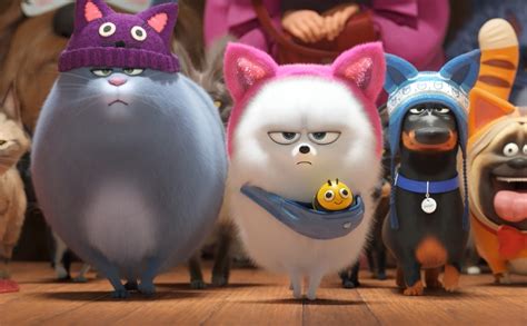 Тайная жизнь домашних животных 2 (2019) смотреть онлайн в хорошем ...