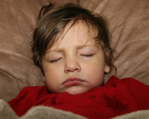Naptime | Marino enjoying his afternoon nap on the couch. | Alec Couros ...