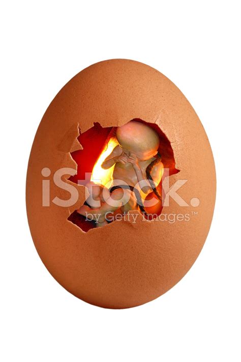 Nuova Nascita Stock Photo – Royalty-Free Images | FreeImages