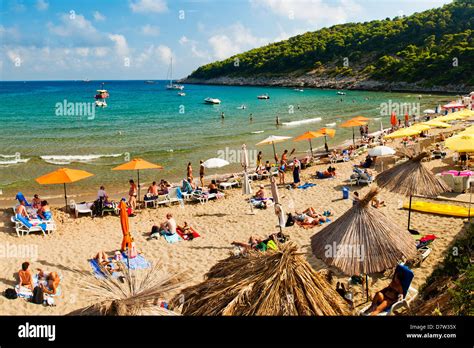 Sunj Beach, a popular sandy beach on Lopud Island, Elaphiti Islands ...