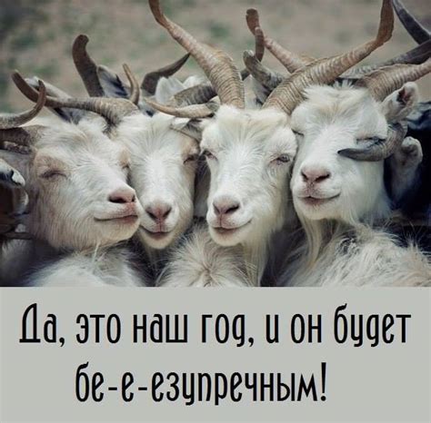 козы Приколы, анекдоты, картинки, демотиваторы на fun.tochka.net