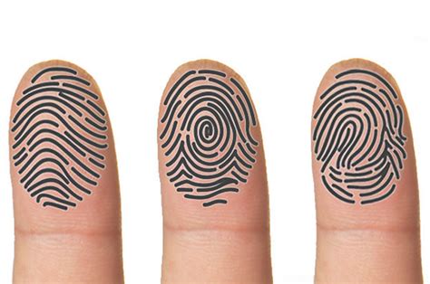 sidik jari unik ya