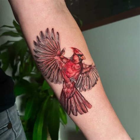 50 Cool Cardinal Tattoo Ideas for Men & Women in 2024