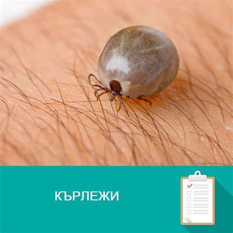 Кърлежи - Otrovi