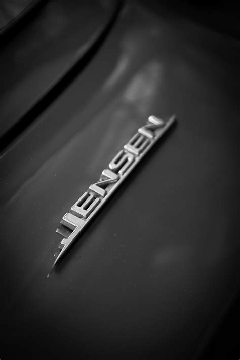 Jelena Jensen Photos, Download The BEST Free Jelena Jensen Stock Photos