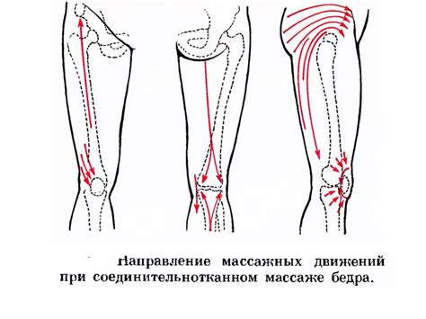 Сегментарно-рефлекторный массаж - online presentation