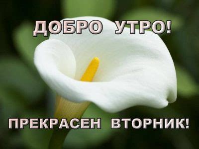 Добро утро Архиви - Страница 4 от 13 - karti4ki.eu