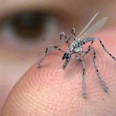 Flying Military Robots