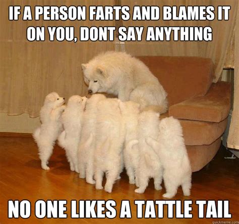 If a person farts and blames it on you, dont say anything no one likes ...
