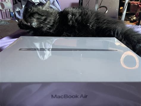 TW Pornstars - Penny Poison. Twitter. Thank you so freaking much