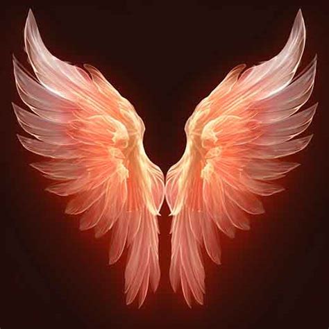 359 Angel Number: Surprising & Powerful Meanings | BettyDreams