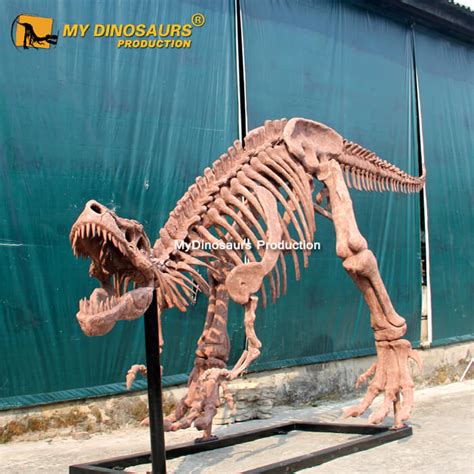 DS-172 Small Size T-REX Skeleton Sculpture | My Dinosaurs