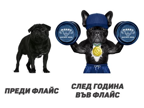 Фитнеси Флайс - Gym/Physical Fitness Center | Facebook - 22 Reviews ...