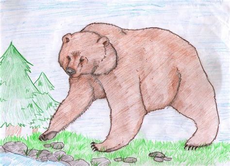 Рисунок медведя карандашом для детей в школу и детский садик.