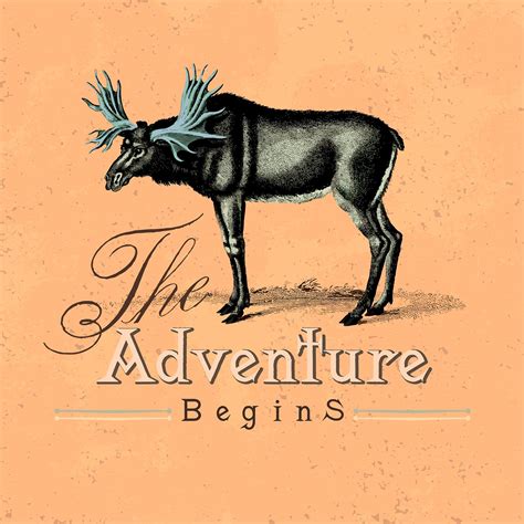 collection  adventure logo design vectors  stock illustration