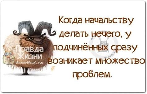 Рабочие шутки, Юмор о работе, Юмористические цитаты