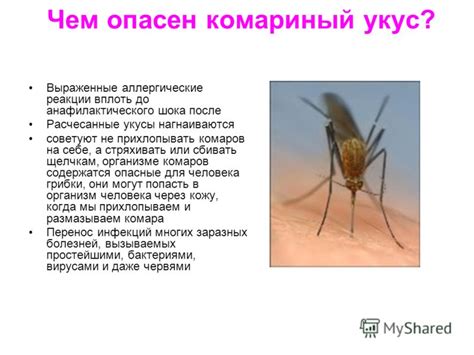 Презентация на тему: "Вопросы проекта Зачем комару пить кровь? Какие ...