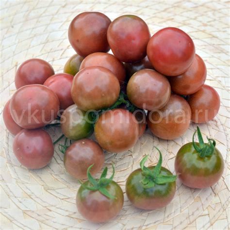 Купить семена томата сорт Рейнхарда фиолетовый сахар (Reinhards Purple ...