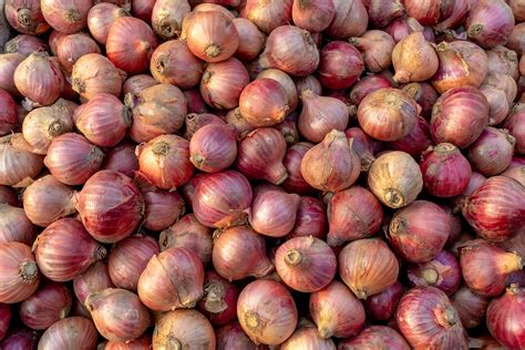 onions images      onions images stock