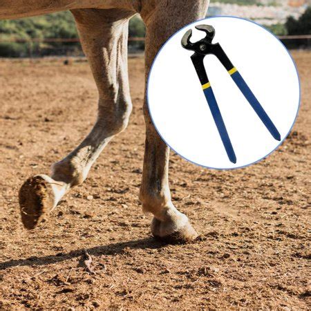 Horse Hoof Trimmer Horse Farrier Tool Easy to Use Professional Nail Clippers Farrier Nippers ...