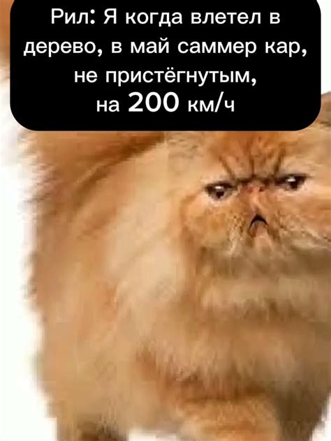 Мем, май самара каааар #мем #ржака #мемы #хочуврек #memes #прикол # ...