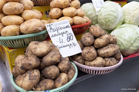Пошла молодая белорусская картошка. Смотрим, почем у нас и у соседей