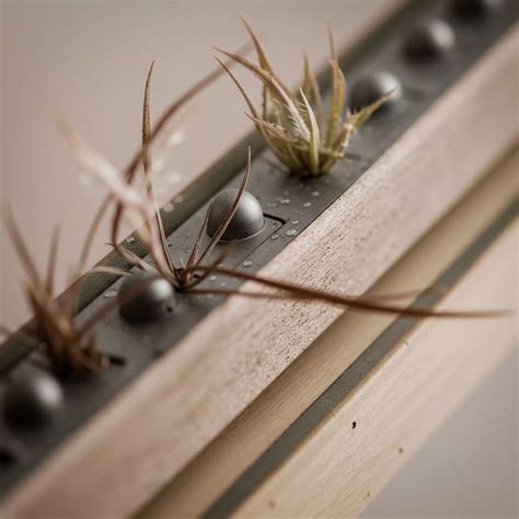 How Can Citizens Advocate for Stricter Air Quality Standards for