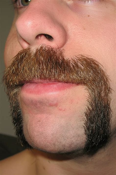 horseshoe mustache styles  stylish  confident men