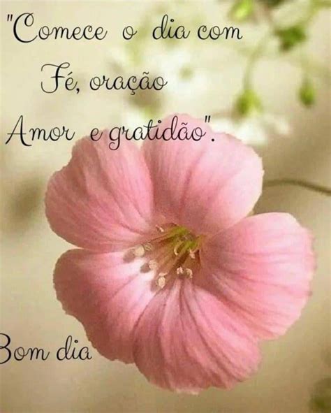 Frases Bonitas Mensagem Dia 8 De Março Para Whatsapp