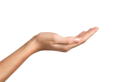 hand stock  royalty  hand images depositphotos