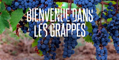 Les Grappes : une place de marché communautaire du vin