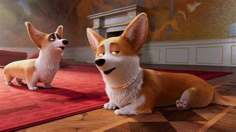 Prime Video: The Queen's Corgi