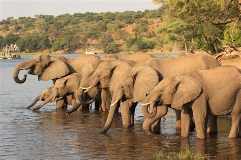 ?Bildergalerie südliches Afrika ??| Kostenlose Afrikanische Bilder ...