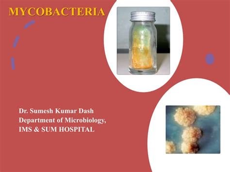 Mycobacterium | PPT