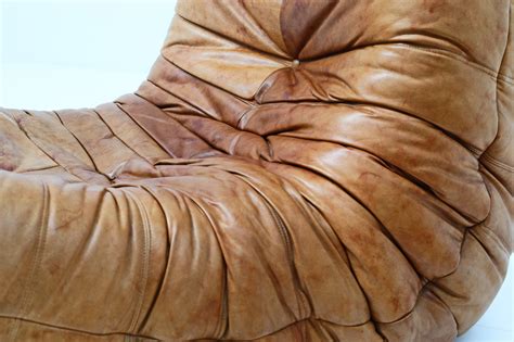 ligne roset togo  naturel leder het huis van wauw