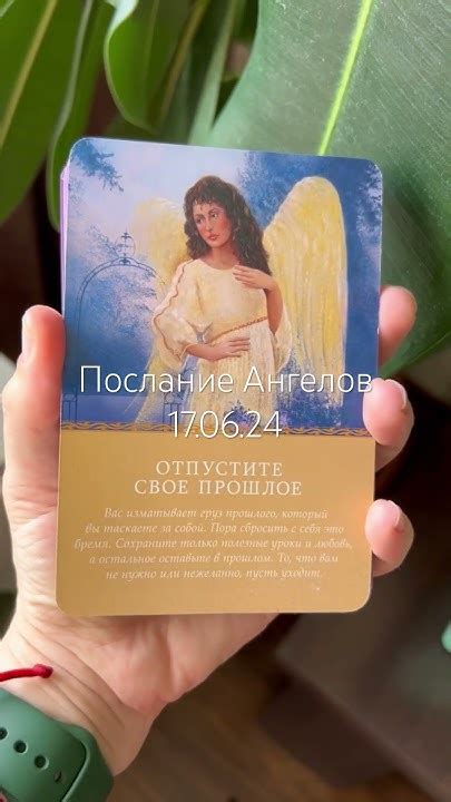 Послание Ангелов-Отпустите своё прошлое #ангелы #посланиеангелов # ...