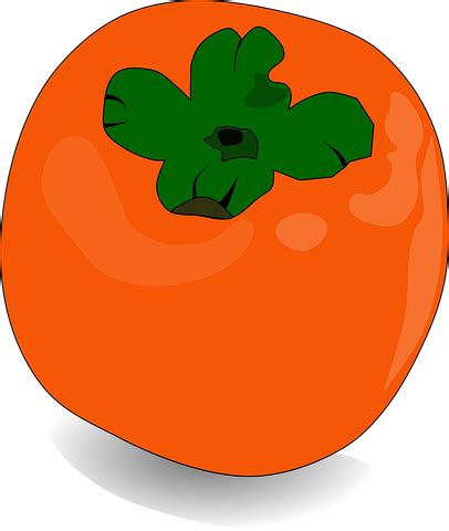 200+ Free Persimmon & Fruit Images