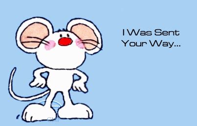 Mice GIF - Find & Share on GIPHY