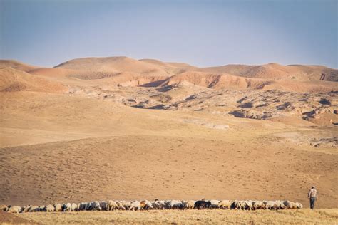 MESOPOTAMIA – Izla Photography